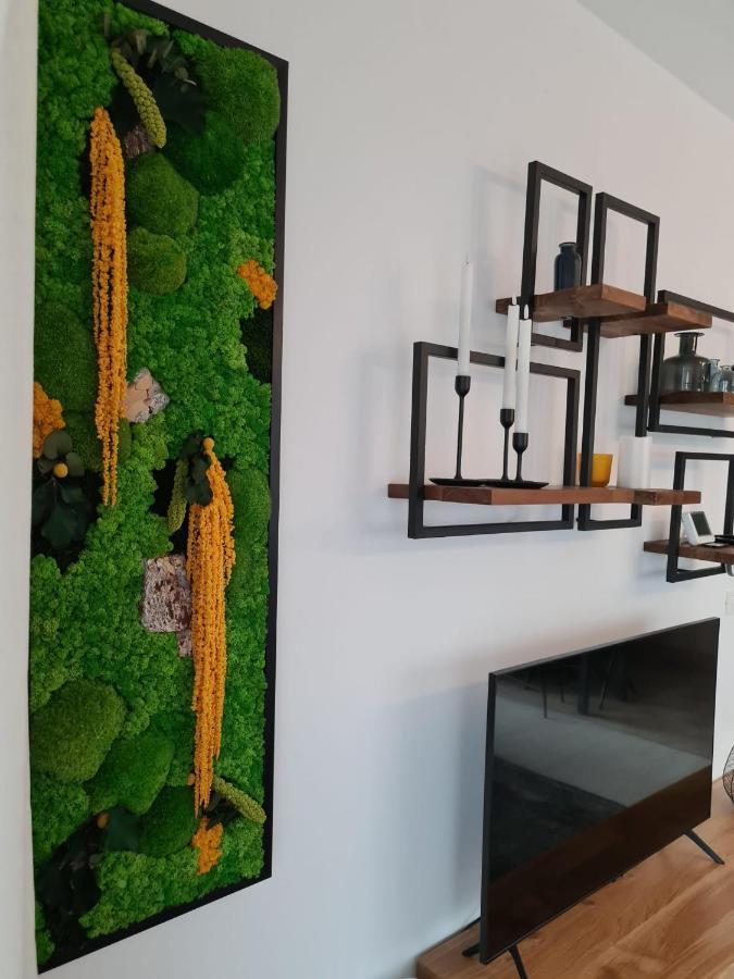 Tonic Studio Coresi Brašov Exteriér fotografie