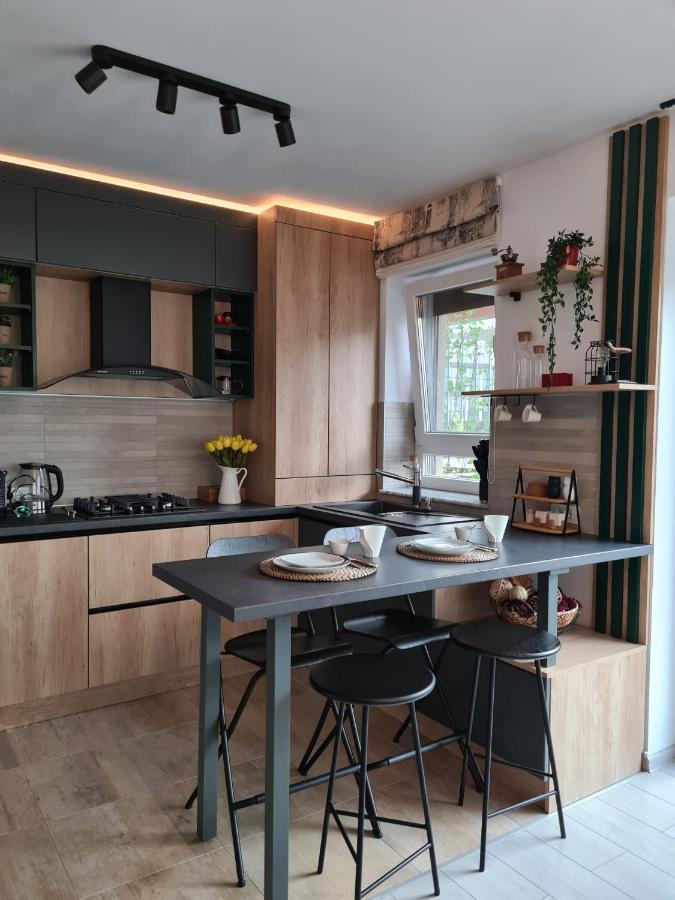 Tonic Studio Coresi Brašov Exteriér fotografie