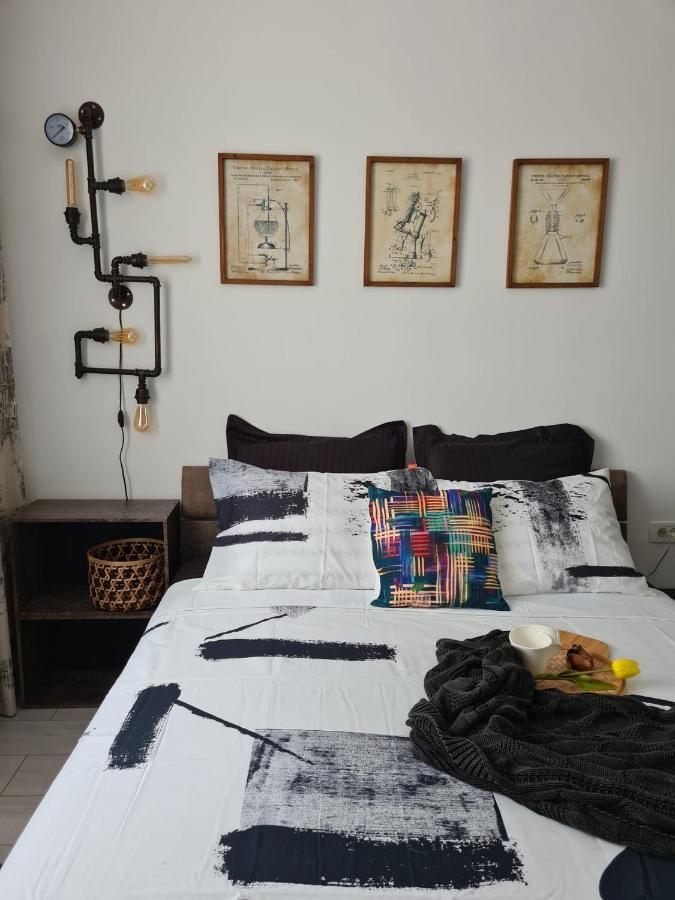 Tonic Studio Coresi Brašov Exteriér fotografie